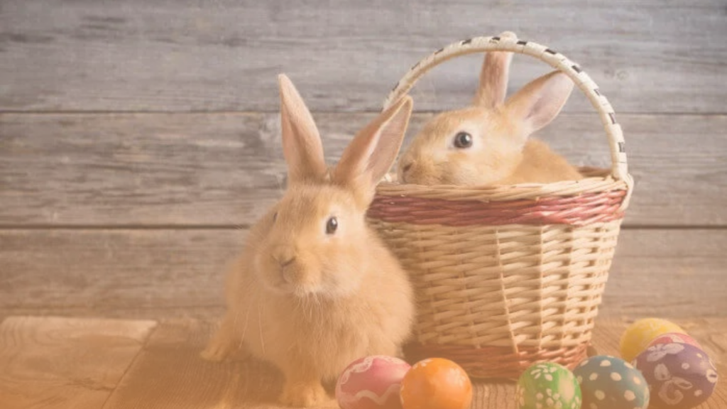 ações de páscoa para empresas